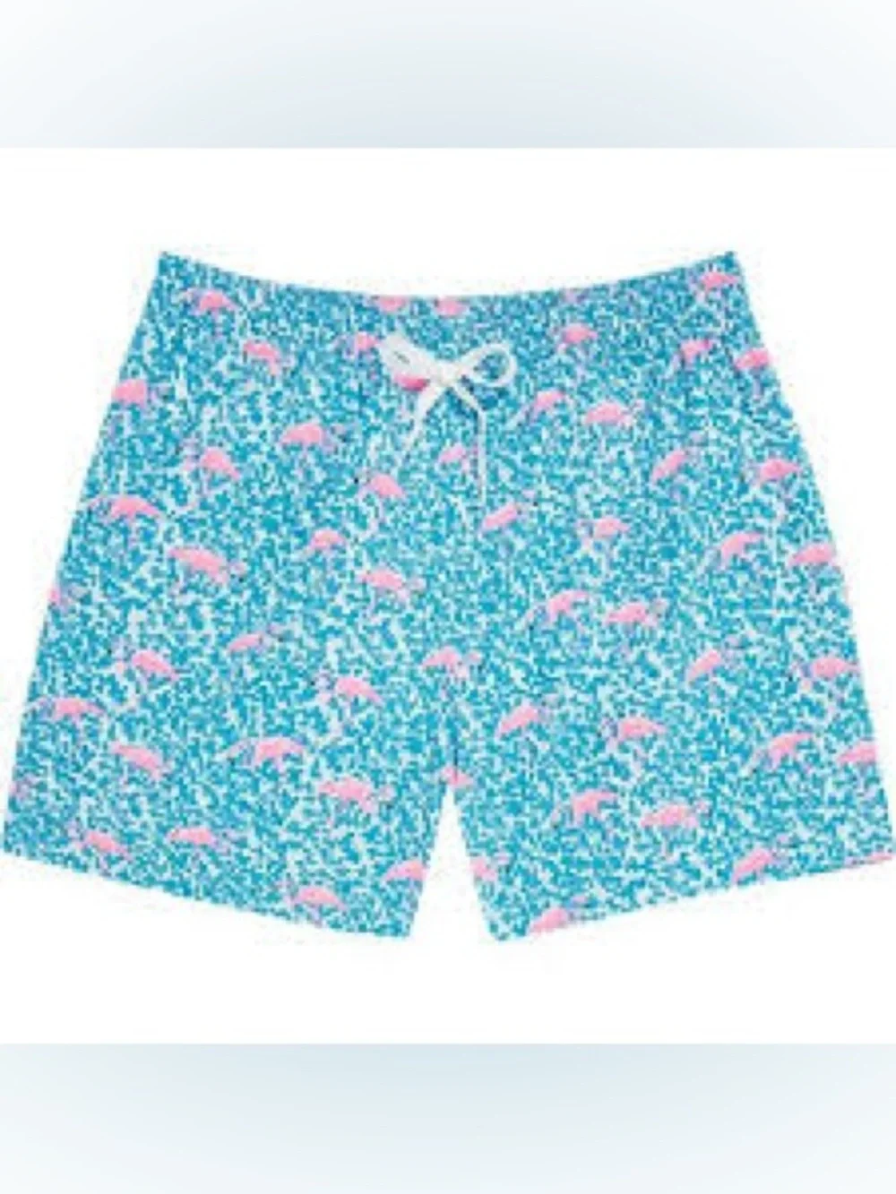 Chubbies Men’s 5.5inch Swim Trunks Lined